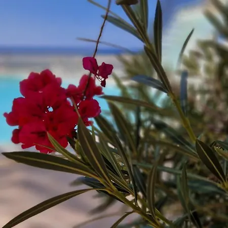 Monte Del Moro Ocean View * San Agustin (Gran Canaria)