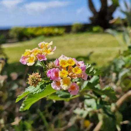 Monte Del Moro Ocean View Apartment San Agustin (Gran Canaria)
